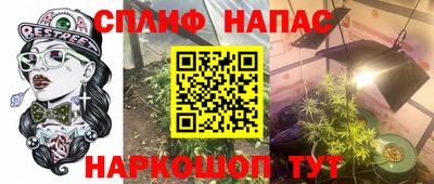 сатива Малгобек