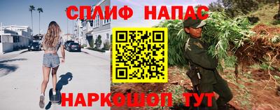 сатива Малгобек