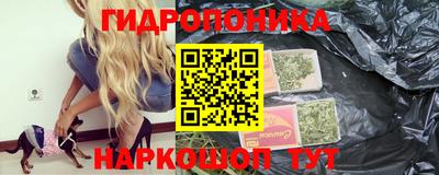 сатива Малгобек